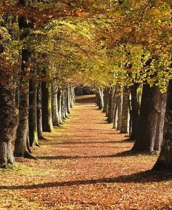 Domaine De Kerbastic Otel Guidel